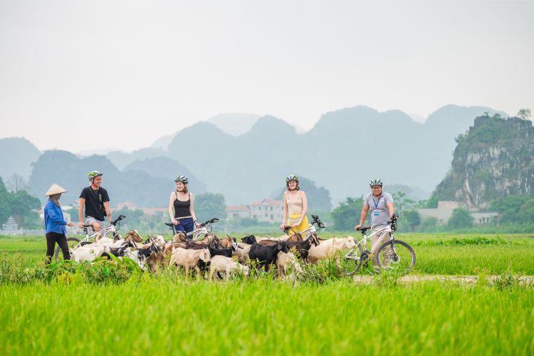 Biking in Ninh Binh, Vietnam